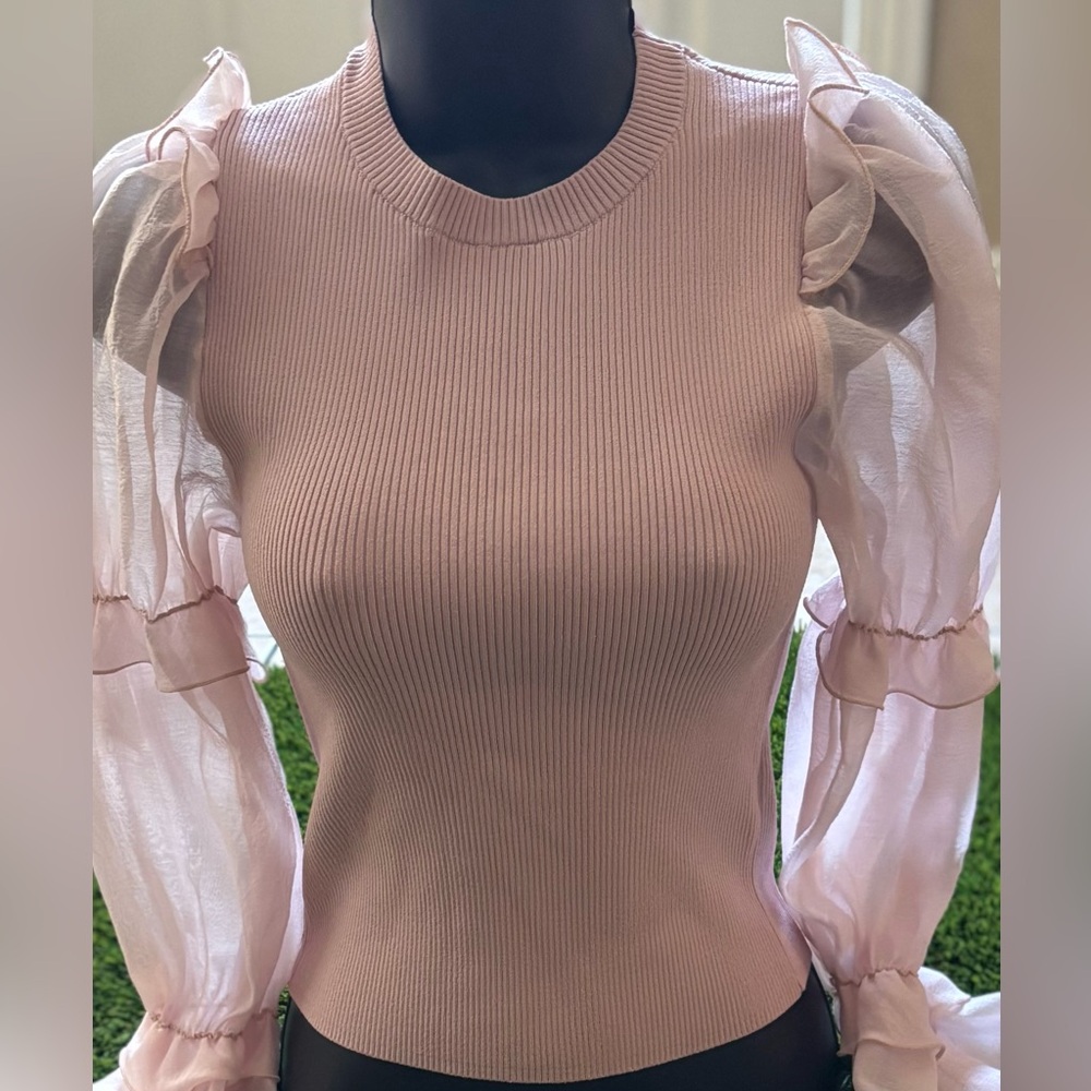 ZARA  Pink Blouse with Sheer Sleeves Size S